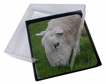 4x Grazing Sheep Picture Table Coasters Set in Gift Box