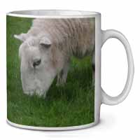 Grazing Sheep Ceramic 10oz Coffee Mug/Tea Cup