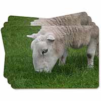 Grazing Sheep Picture Placemats in Gift Box