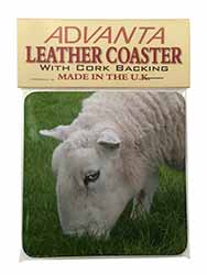 Grazing Sheep Single Leather Photo Coaster