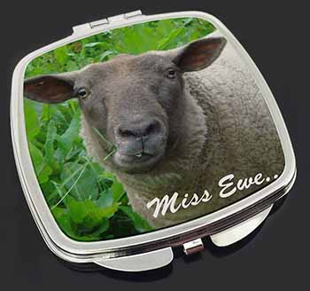Cute Sheep 