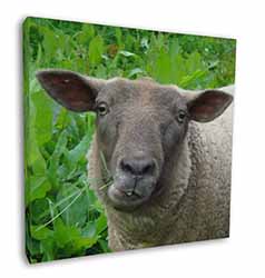 Cute Sheeps Face Square Canvas 12"x12" Wall Art Picture Print
