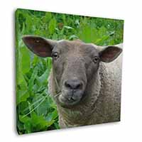 Cute Sheeps Face Square Canvas 12"x12" Wall Art Picture Print