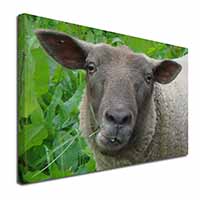 Cute Sheeps Face Canvas X-Large 30"x20" Wall Art Print