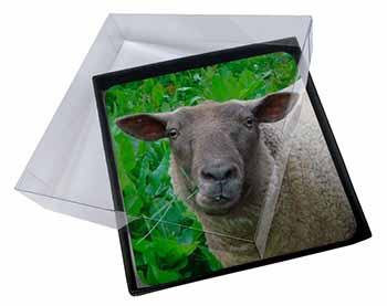 4x Cute Sheeps Face Picture Table Coasters Set in Gift Box