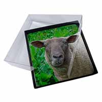 4x Cute Sheeps Face Picture Table Coasters Set in Gift Box