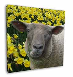 Cute Sheep with Daffodils Square Canvas 12"x12" Wall Art Picture Print