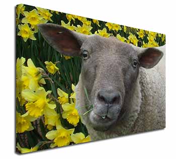 Cute Sheep with Daffodils Canvas X-Large 30"x20" Wall Art Print