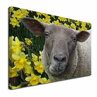 Cute Sheep with Daffodils Canvas X-Large 30"x20" Wall Art Print