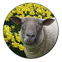 Cute Sheep with Daffodils Fridge Magnet Printed Full Colour