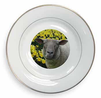 Cute Sheep with Daffodils Gold Rim Plate Printed Full Colour in Gift Box