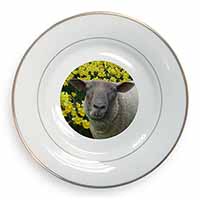 Cute Sheep with Daffodils Gold Rim Plate Printed Full Colour in Gift Box