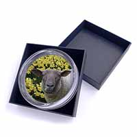 Cute Sheep with Daffodils Glass Paperweight in Gift Box