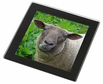 Cute Sheeps Face Black Rim High Quality Glass Coaster