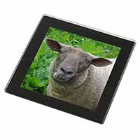 Cute Sheeps Face Black Rim High Quality Glass Coaster