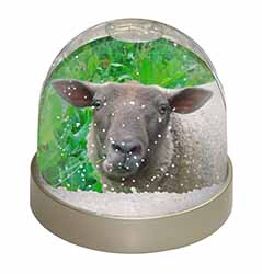 Cute Sheeps Face Snow Globe Photo Waterball