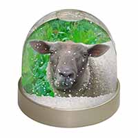Cute Sheeps Face Snow Globe Photo Waterball