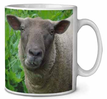 Cute Sheeps Face Ceramic 10oz Coffee Mug/Tea Cup