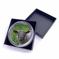 Cute Sheeps Face Glass Paperweight in Gift Box