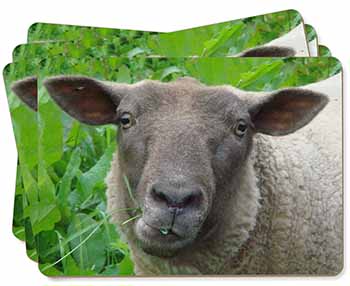 Cute Sheeps Face Picture Placemats in Gift Box