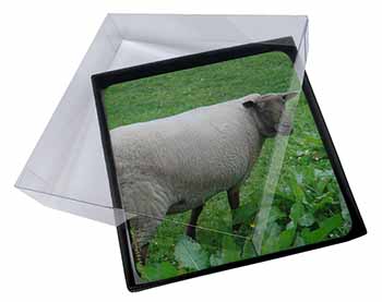 4x Sheep in Field Picture Table Coasters Set in Gift Box