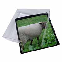 4x Sheep in Field Picture Table Coasters Set in Gift Box