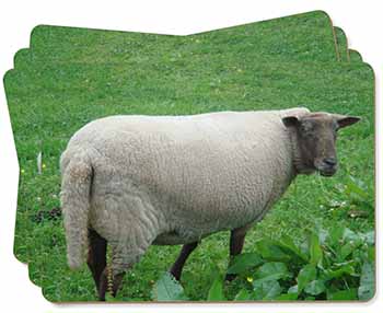 Sheep in Field Picture Placemats in Gift Box