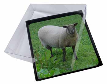 4x Sheep Intrigued by Camera Picture Table Coasters Set in Gift Box