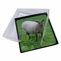 4x Sheep Intrigued by Camera Picture Table Coasters Set in Gift Box