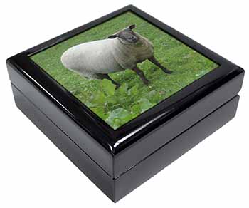 Sheep Intrigued by Camera Keepsake/Jewellery Box