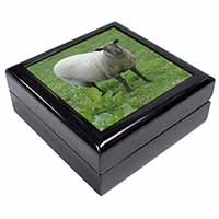 Sheep Intrigued by Camera Keepsake/Jewellery Box