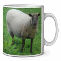 Sheep Intrigued by Camera Ceramic 10oz Coffee Mug/Tea Cup