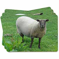 Sheep Intrigued by Camera Picture Placemats in Gift Box