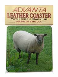 Sheep Intrigued by Camera Single Leather Photo Coaster