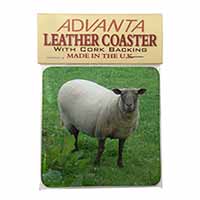 Sheep Intrigued by Camera Single Leather Photo Coaster