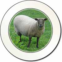 Sheep Intrigued by Camera Car or Van Permit Holder/Tax Disc Holder
