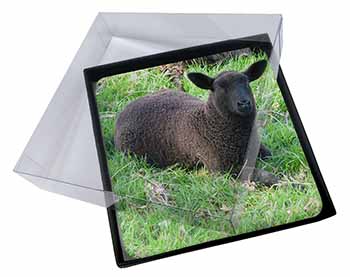 4x Black Lamb Picture Table Coasters Set in Gift Box