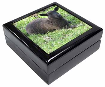 Black Lamb Keepsake/Jewellery Box