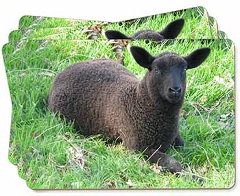 Black Lamb Picture Placemats in Gift Box