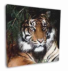 Bengal Tiger in Sunshade Square Canvas 12"x12" Wall Art Picture Print