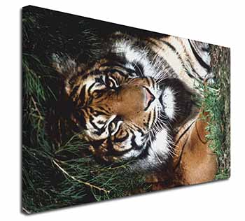 Bengal Tiger in Sunshade Canvas X-Large 30"x20" Wall Art Print