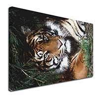 Bengal Tiger in Sunshade Canvas X-Large 30"x20" Wall Art Print