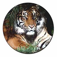 Bengal Tiger in Sunshade Fridge Magnet Printed Full Colour