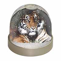 Bengal Tiger in Sunshade Snow Globe Photo Waterball