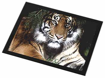Bengal Tiger in Sunshade Black Rim High Quality Glass Placemat