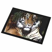 Bengal Tiger in Sunshade Black Rim High Quality Glass Placemat