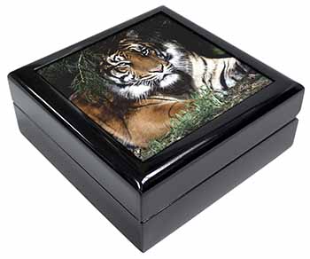Bengal Tiger in Sunshade Keepsake/Jewellery Box