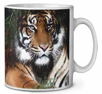 Bengal Tiger in Sunshade Ceramic 10oz Coffee Mug/Tea Cup