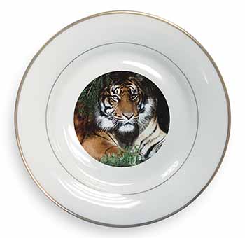 Bengal Tiger in Sunshade Gold Rim Plate Printed Full Colour in Gift Box