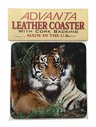 Bengal Tiger in Sunshade Single Leather Photo Coaster